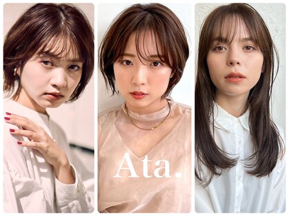 アタ(Ata.)の写真