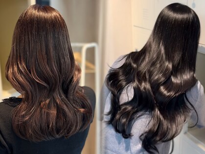 ラミン(LAMIN)の写真