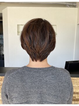 ヴァン カウンシル 王子(VAN COUNCIL) 脱白髪染めハイライト【王子】