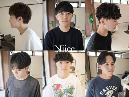ニイス(Niice)の写真