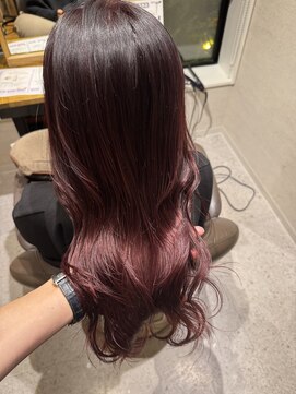 テラスヘアヴィラ 新潟駅南(TERRACEhairVilla) チェリーレッド