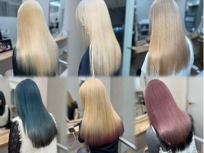 モナルダ(Monarda)の写真