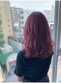 ラベンダーカラー