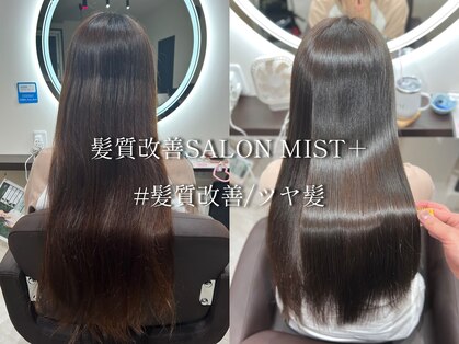 ミストプラス(MIST+)の写真