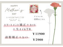 ラスター(LUSTER)