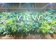 ビューネオ(VIEW NEO)の写真