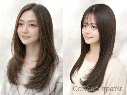 コノア スパーク(Conoah spark)の写真