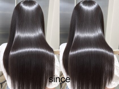 シンス(since)の写真