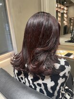 ニュートン(NEWTON) 【NEWTON×川島】暗めでも色味が見えるボルドーカラー