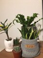 リズム(RHYTHM) 観葉植物に最近はまってます◎珍しい葉っぱは育てたくなります。