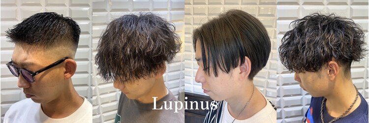 ルピナス(Lupinus)のサロンヘッダー