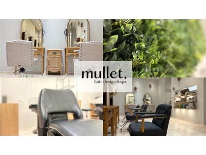 マレット 南蔵王(mullet.)の写真