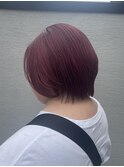 《ルビーベリーショート》