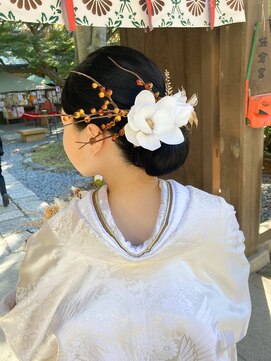 パズードコー(PSSD-CO.+5) モダンシニヨン