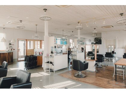 ドール(DOLL)の写真