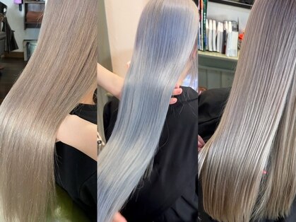 ステラ(stella)の写真