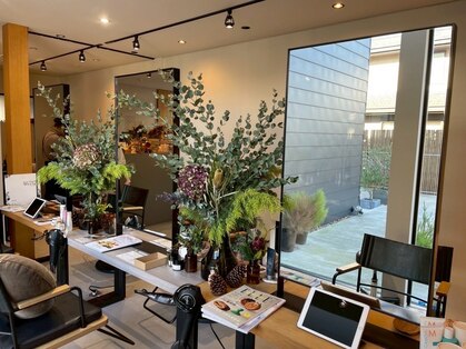 コス(kosu)の写真