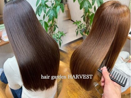 ヘアガーデンハーヴェスト(hair garden HARVEST)の写真