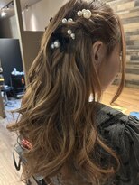 ミスター(Mr,)&nbsp;大人のツインハーフ