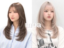 モア(moa)