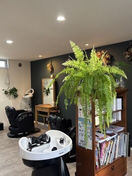 ロコヴィレッジ(LoCo Village)の写真/【糸島高校前駅徒歩5分】「最初から最後まで、あなただけの専属スタイリスト」担当が変わる心配なし◎