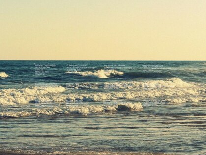 ラーナー(LONER)の写真