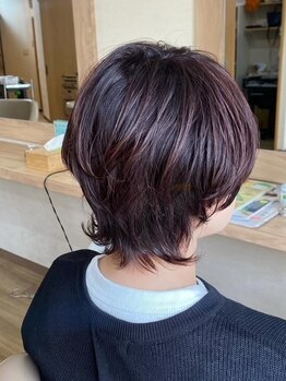 アロア(aroa)の写真/どんなに可愛くても、明日からきまらなくちゃ、しょうがない。。。