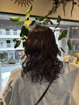 フルール バイ サファリ(fleur by safari) くせ毛活かす/ パーマ/ムース