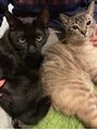 ミンピ(Mimpi)&nbsp;家に猫2匹住んでます、犬も、動物全般好きです！