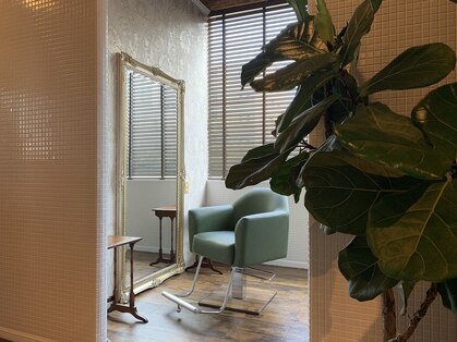 ラウンジフィット(lounge Fit)の写真