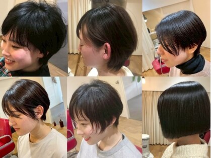 ウギ(U gi)の写真