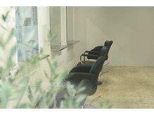ハーバー(Harbor)の雰囲気(緑が映えるシンプルで落ち着いた店内)