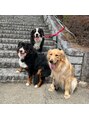 ココロカラ(Cocorokara)&nbsp;犬の中でも大型犬が大好きで、現在飼うか迷い中です。