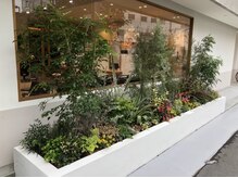 ジャドール(J'ADORE)の雰囲気(ご来店の際は、瓦町公園の真正面の大きな窓とグリーンが目印に♪)