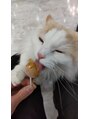 エルノア 小田急相模原(L;noah) 猫や犬も大好きです!この間猫カフェに行ってきました