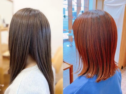 パームツリー(palm tree)の写真