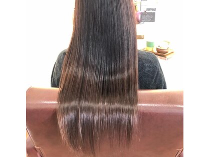 シュシュ(chouchou)の写真