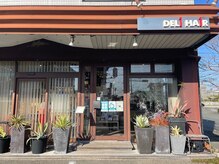デリヘアー(DELI HAIR)の雰囲気（植物がたくさんあるおしゃれなお店◎）