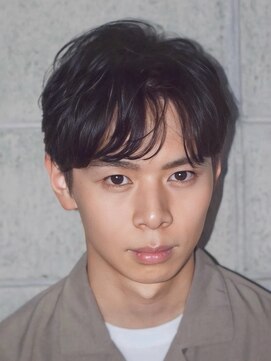 レマン バイ ノイル(Les Mains by Noil) ニュアンスシースルーセンターパート