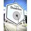 バーバーダンデライオン(Barbar DandeLion)のお店ロゴ