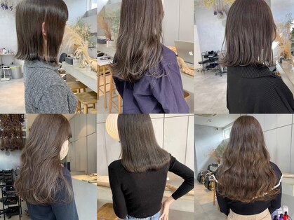 ミント(mint)の写真