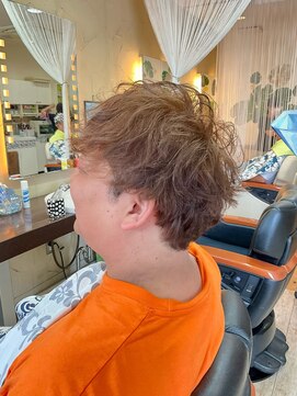 スギモト(Sugimoto) １４トーン　ハイトーンカラー