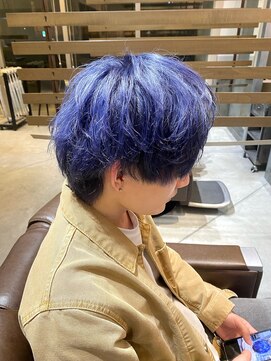 ノイセル(Noisyle) ブルーパープル