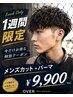 【1週間期間限定】メンズカット+パーマ¥9900