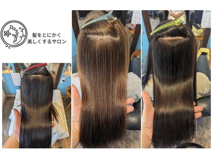 パラゴンヘア(Paragon hair)の写真
