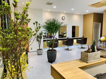 女性専用髪質改善サロンｖｉｏｌａ加古川店【ヴィオラ】