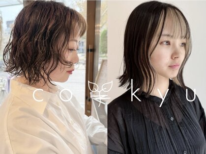 コキュウ(co-kyu)の写真