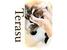テラス(Terasu)