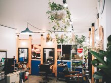 植物沢山の店内です