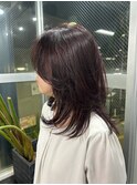 レイヤー